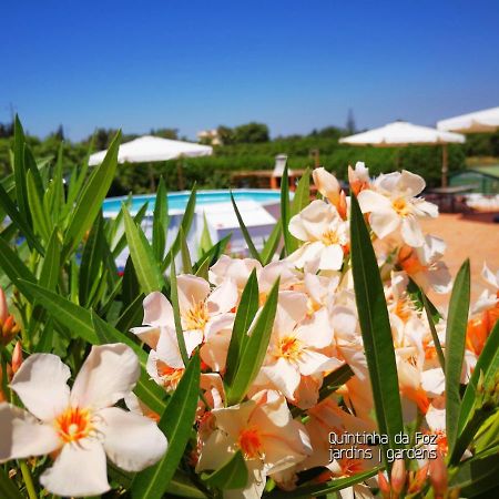 Quintinha Da Foz Guest House Sao Pedro  Екстер'єр фото