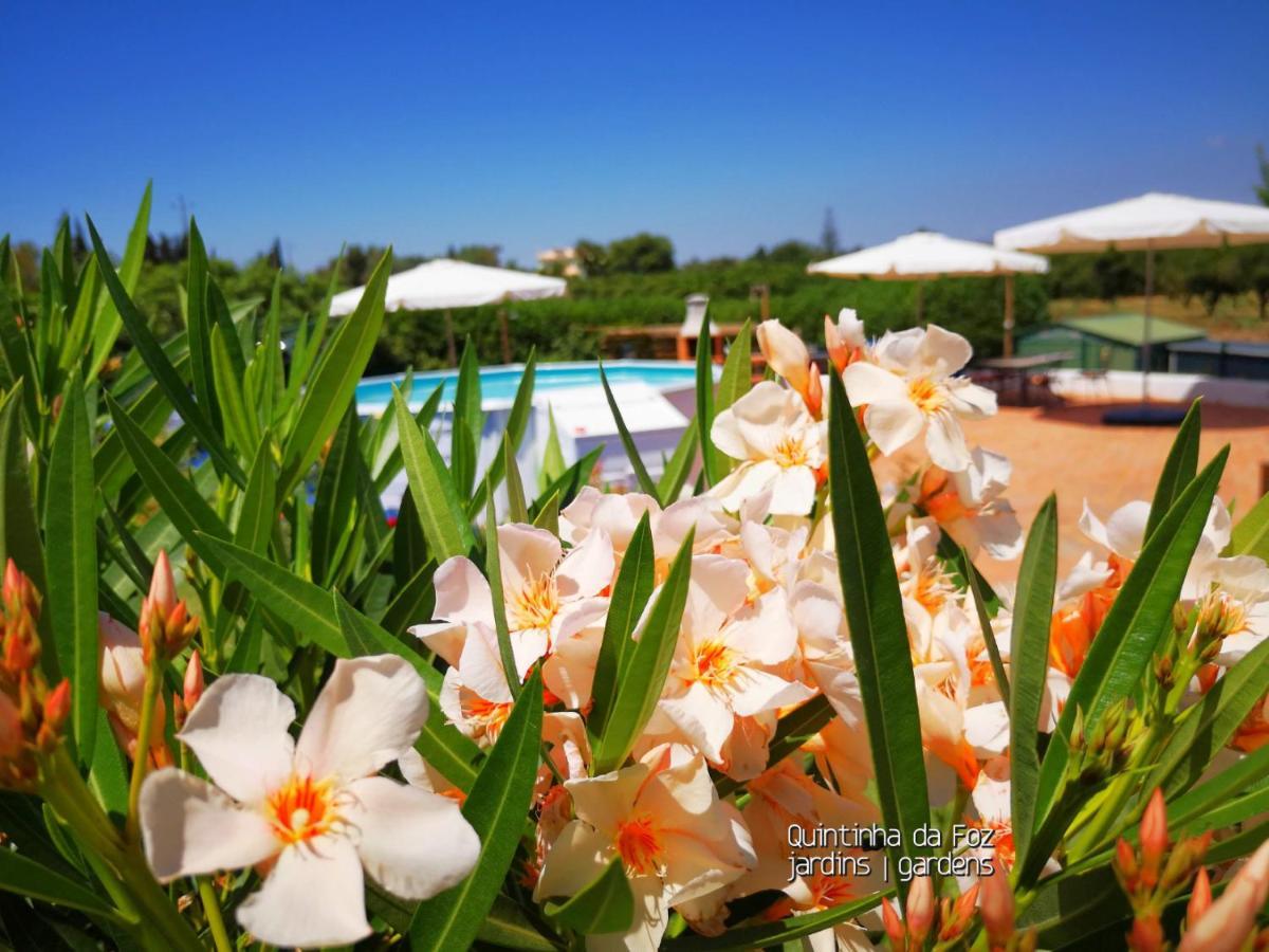Quintinha Da Foz Guest House Sao Pedro  Екстер'єр фото