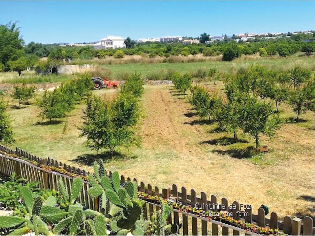Quintinha Da Foz Guest House Sao Pedro  Екстер'єр фото