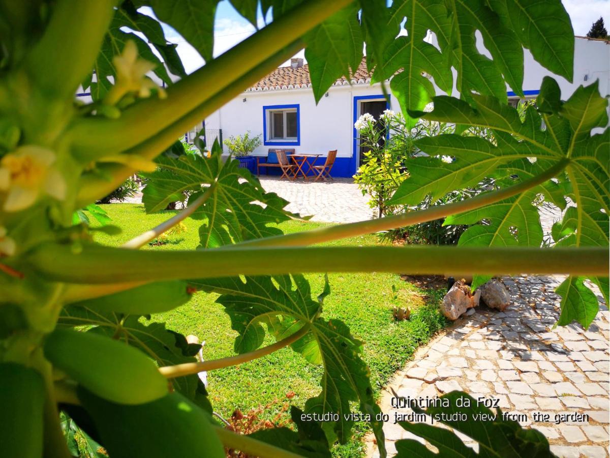 Quintinha Da Foz Guest House Sao Pedro  Екстер'єр фото
